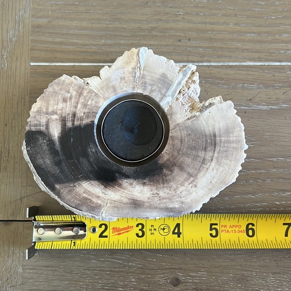 Genuine petrified wood tea light holder & decorative object natural cream black - Picture 12 of 16